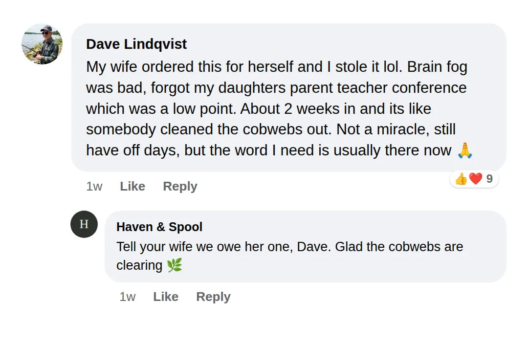 Facebook comment from Dave about brain fog after two weeks, with a reply from Haven and Spool